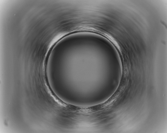 X0000094421053200711081133