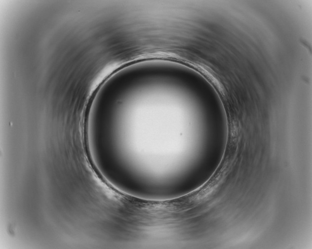 X0000094421054200711081133