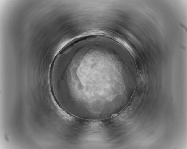X0000094421055200711081133
