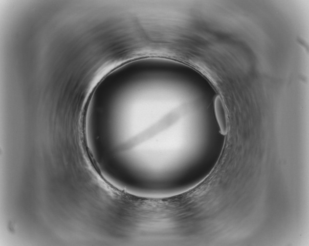 X0000094421056200711081133