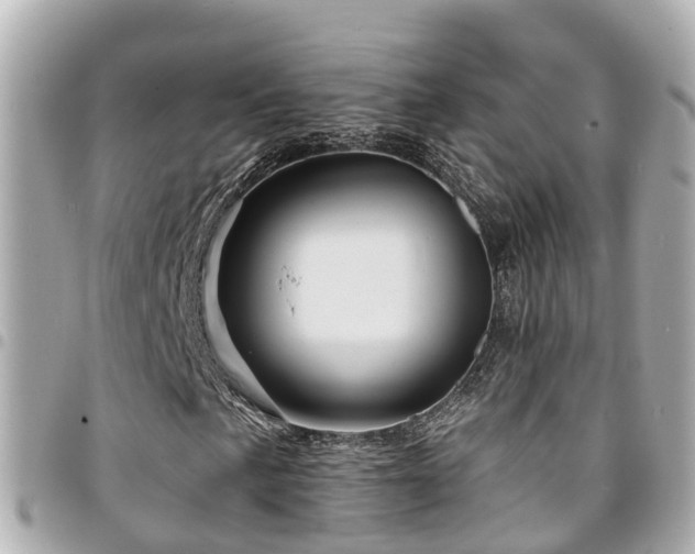 X0000094421057200711081132