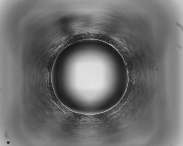 X0000094421061200711081132