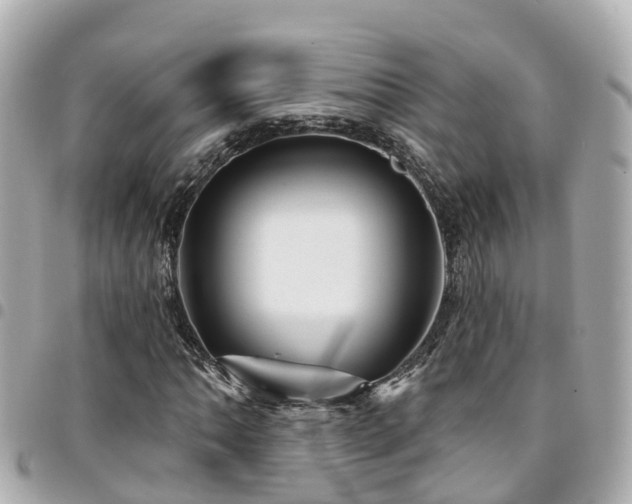 X0000094421062200711081132