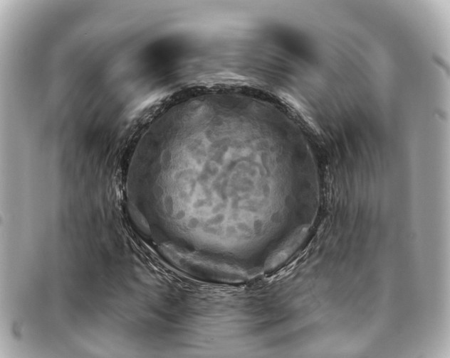X0000094421063200711081132