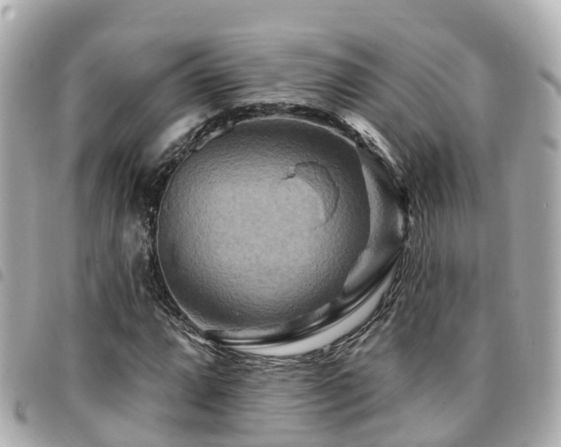 X0000094421064200711081132
