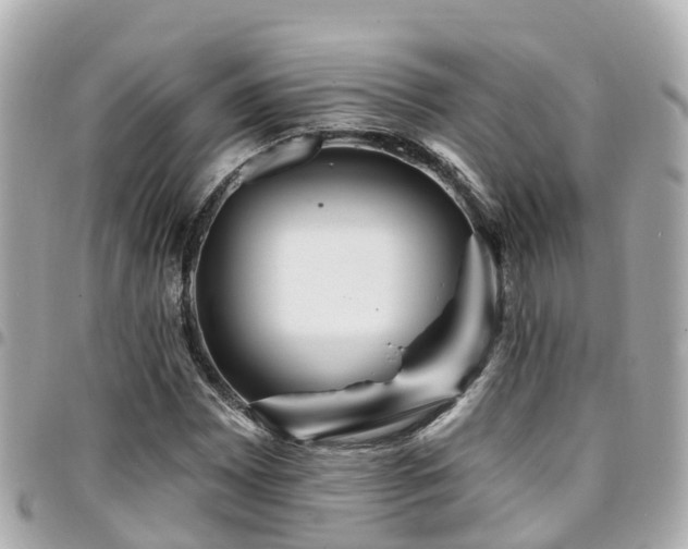 X0000094421065200711081132