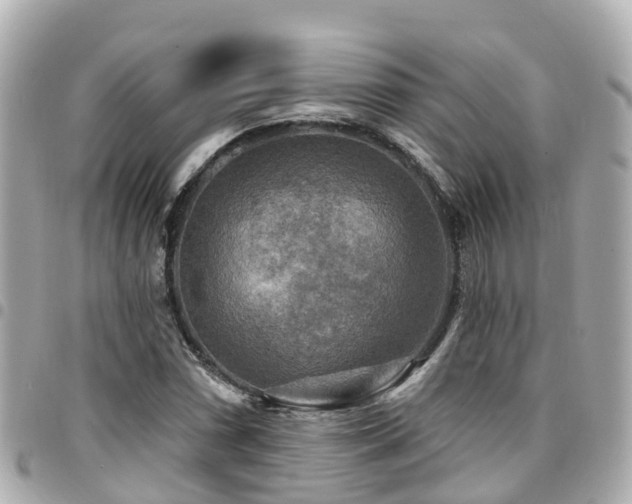 X0000094421066200711081132