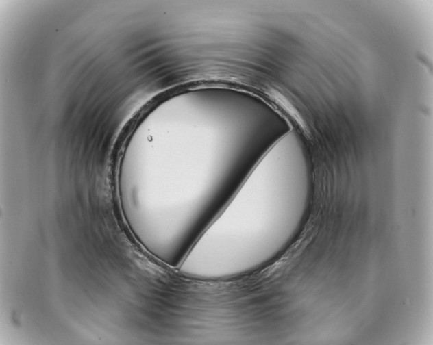 X0000094421068200711081132