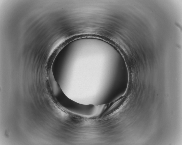 X0000094421069200711081132