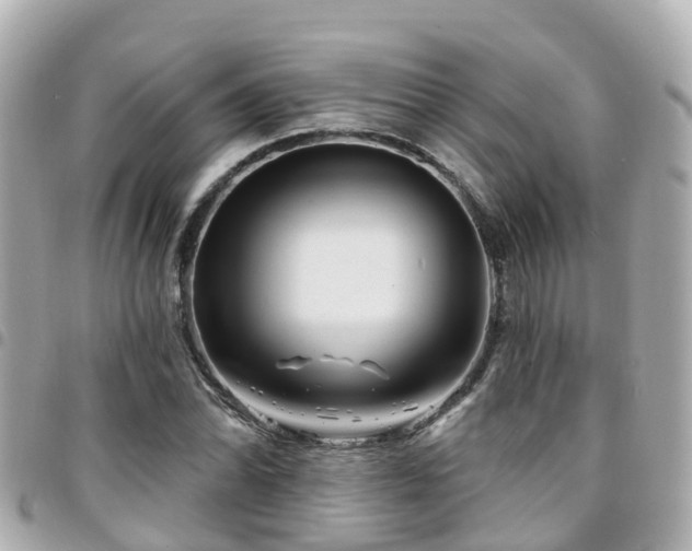 X0000094421070200711081132