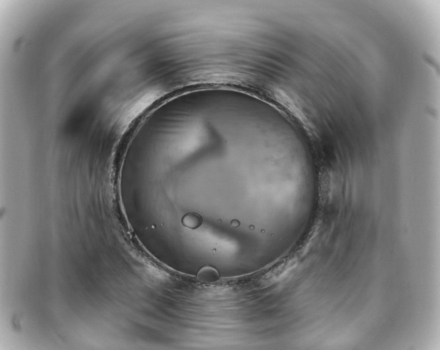 X0000094421071200711081132