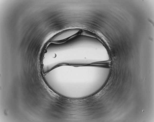 X0000094421072200711081132