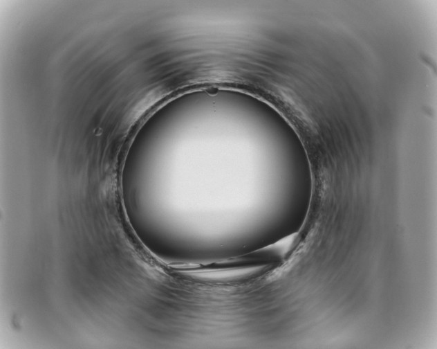 X0000094421073200711081132