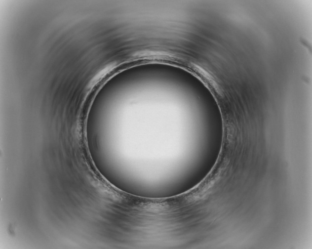 X0000094421074200711081132