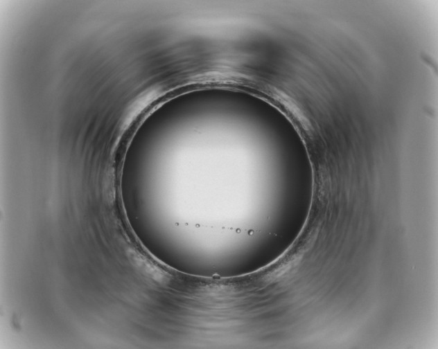 X0000094421075200711081132