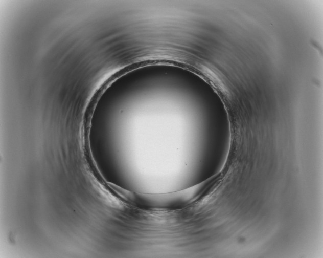 X0000094421076200711081132