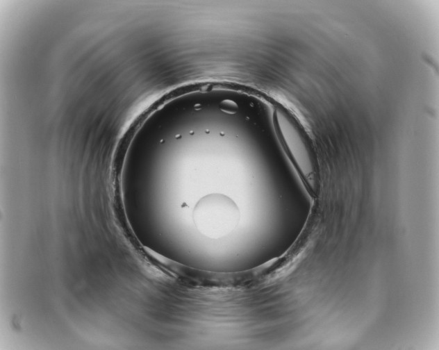 X0000094421077200711081132