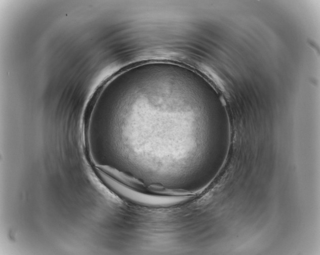 X0000094421080200711081132
