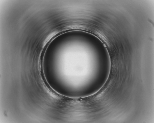 X0000094421082200711081132