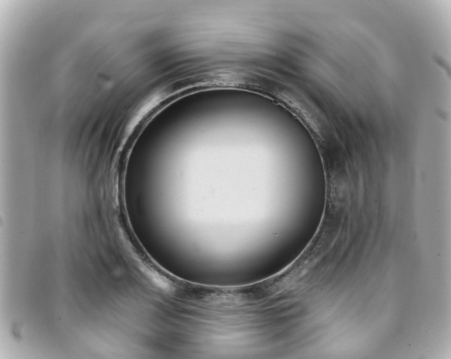 X0000094421083200711081132
