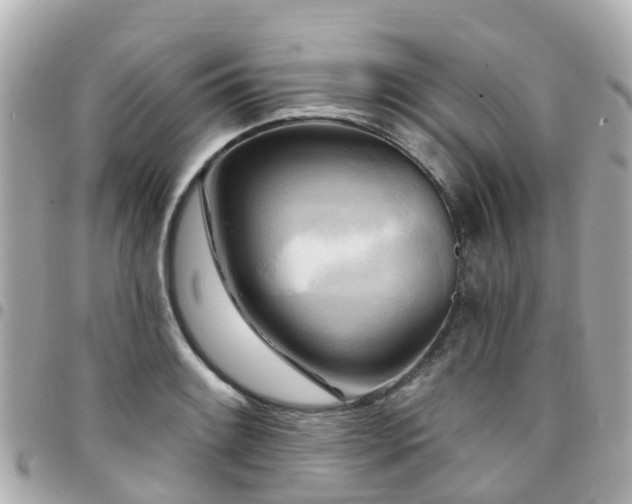 X0000094421084200711081132