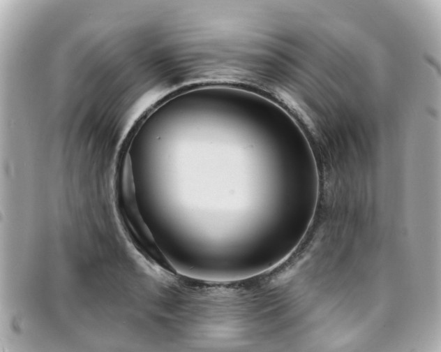 X0000094421085200711081132