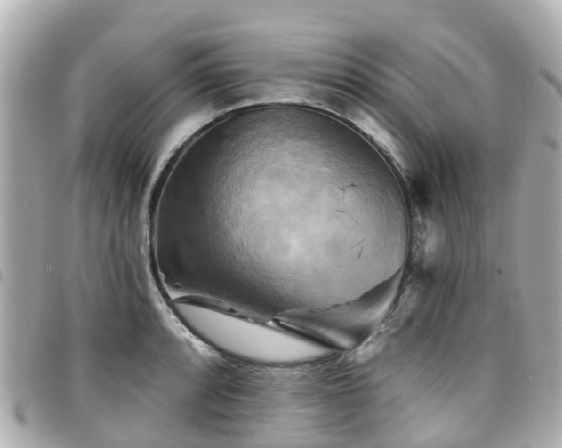X0000094421088200711081132
