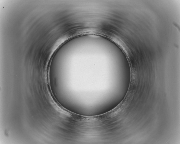 X0000094421090200711081132