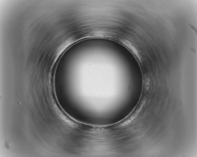 X0000094421091200711081132