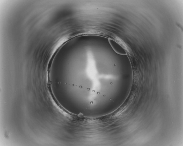 X0000094421095200711081132