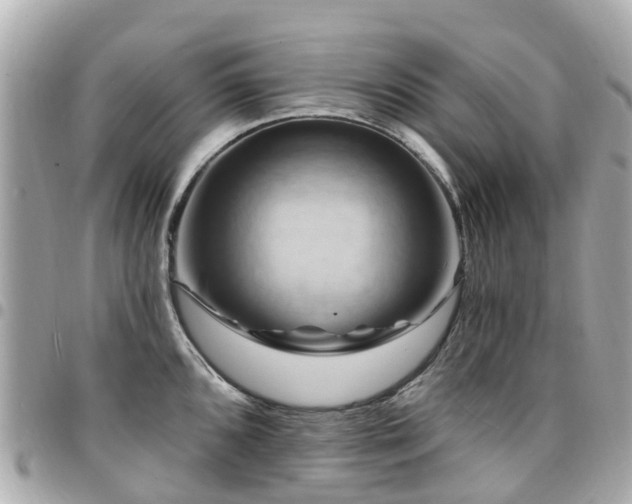 X0000094421096200711081132