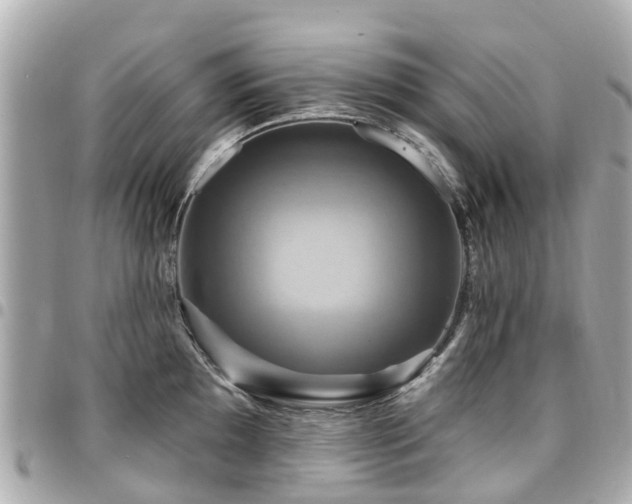 X0000094421097200711081132