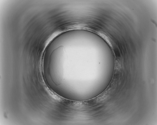 X0000094421098200711081132