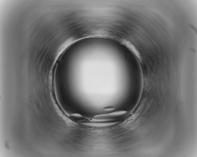 X0000094421099200711081132
