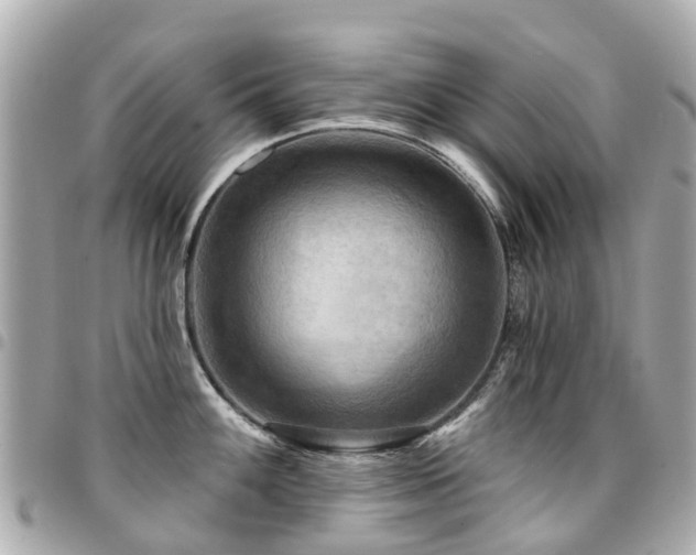 X0000094421100200711081132