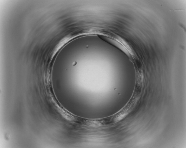 X0000094421101200711081132
