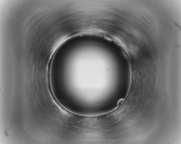 X0000094421103200711081132