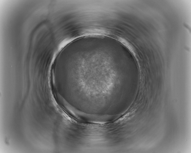 X0000094421104200711081132