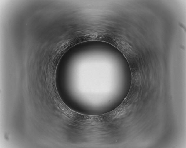 X0000094421105200711081131