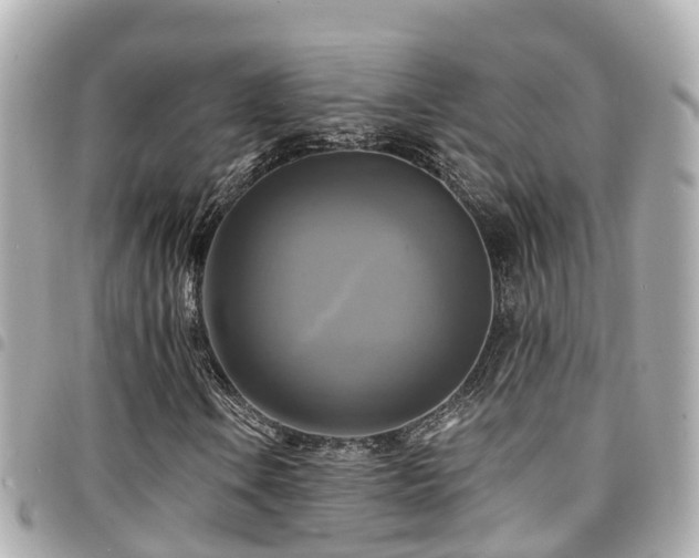 X0000094421106200711081131