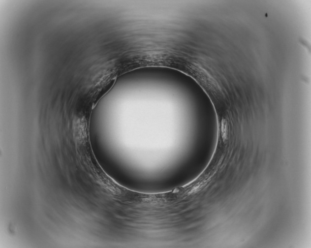 X0000094421107200711081131