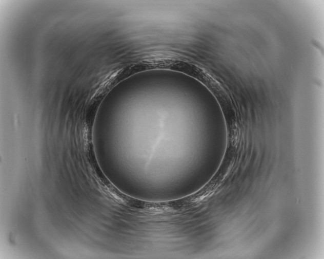 X0000094421108200711081131
