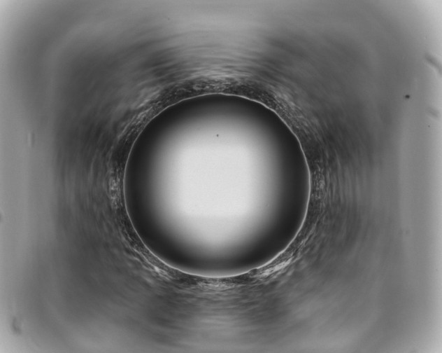 X0000094421109200711081131