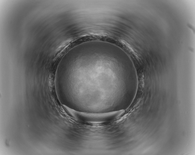 X0000094421110200711081131