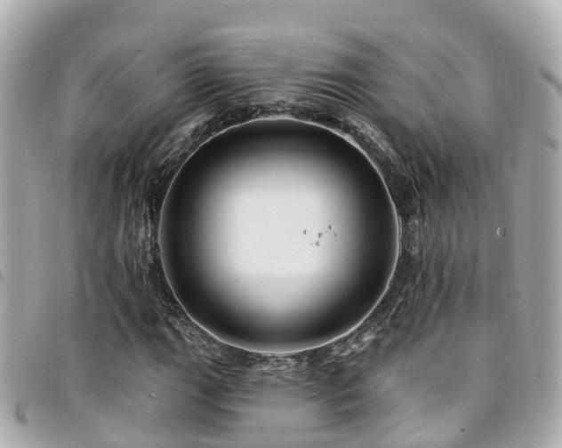 X0000094421111200711081131