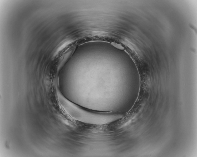 X0000094421112200711081131