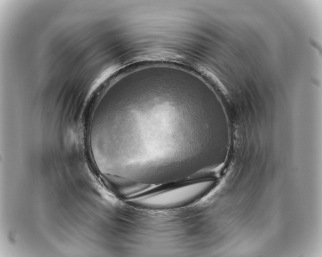 X0000094421114200711081131