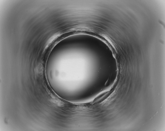 X0000094421115200711081131