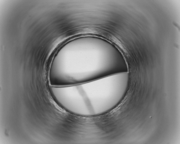 X0000094421116200711081131