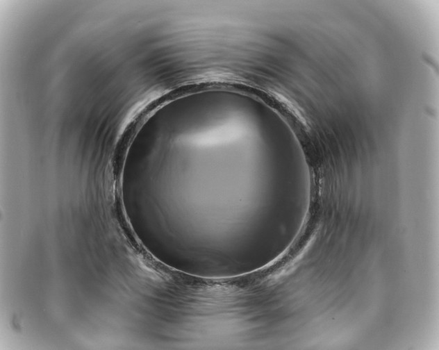 X0000094421117200711081131